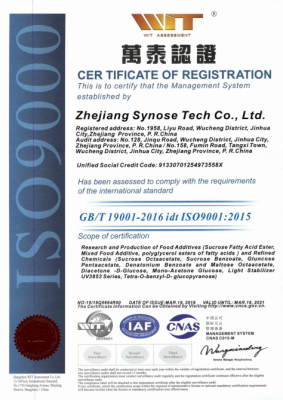 ISO9001 version anglaise
