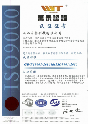 ISO9001 version chinoise